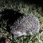 アグリツーリズモ ラ フォンタッチャ ファームステイ *