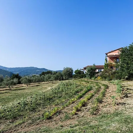 La Fontaccia Farm stay