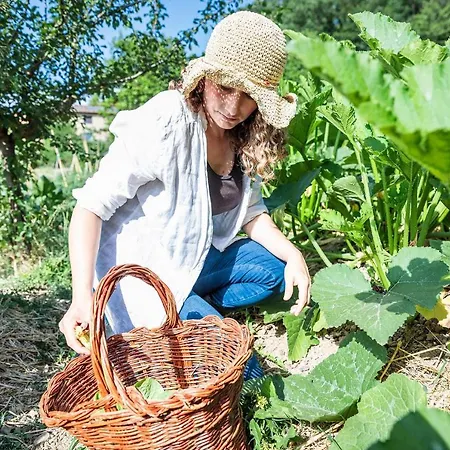 Farm stay La Fontaccia Rufina