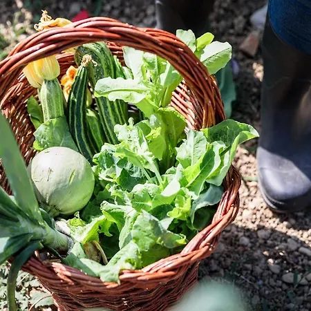 La Fontaccia Farm stay *