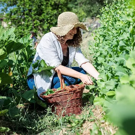 Farm stay La Fontaccia