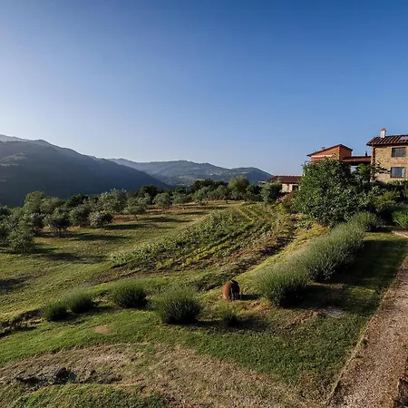 Farm stay La Fontaccia *