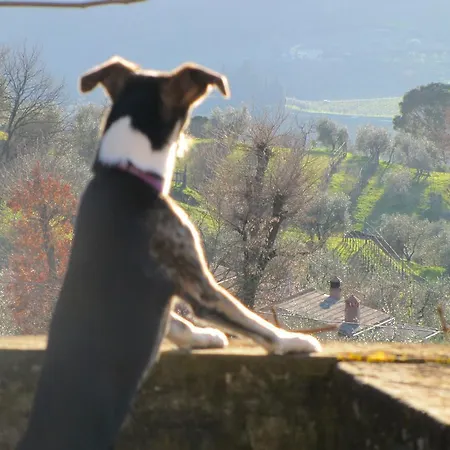 La Fontaccia Farm stay