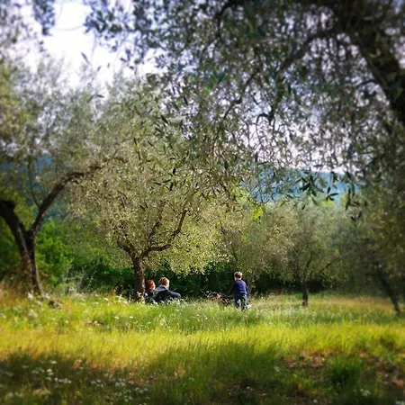 La Fontaccia Rufina
