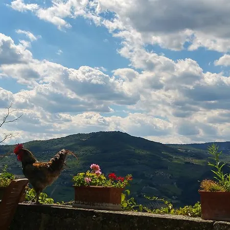 La Fontaccia Farm stay
