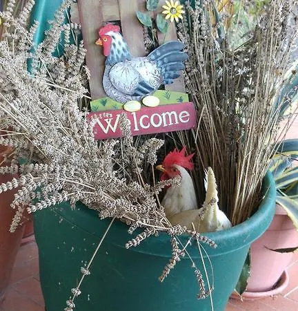 La Fontaccia Farm stay Rufina